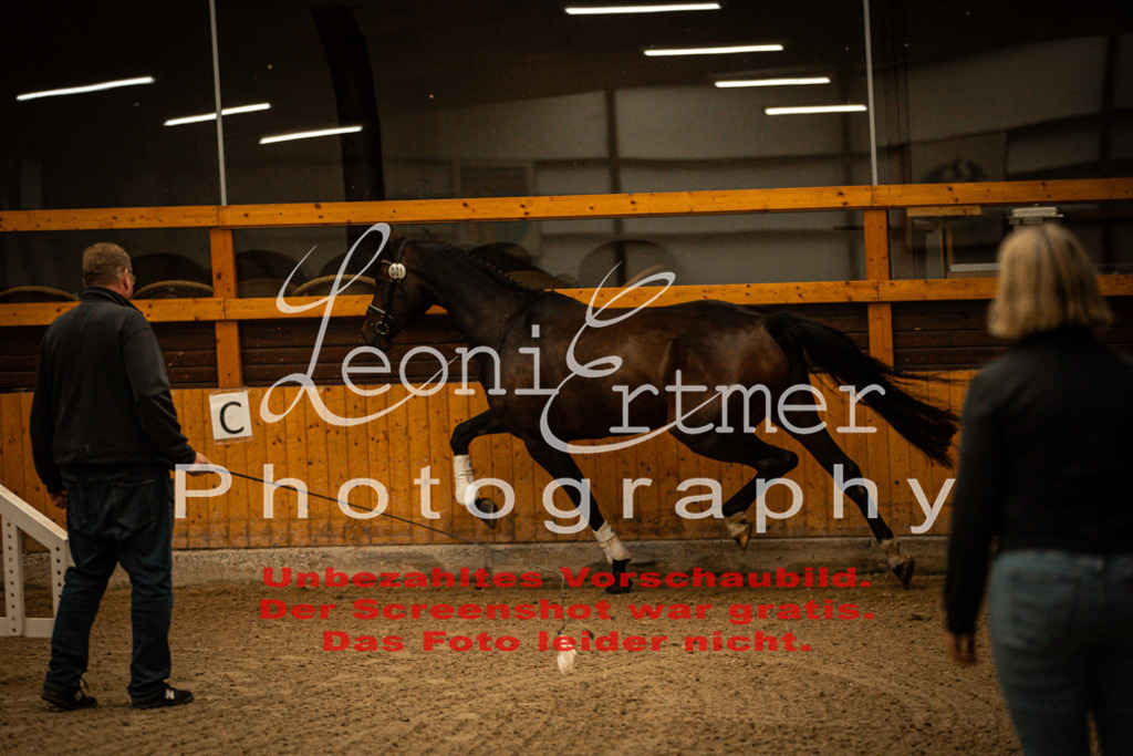 1FS_L00004 | Leoni Ertmer Photography - Realisiert mit Pictrs.com