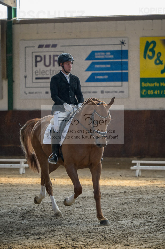 Reitturnier Voxtrup | Entdecke hochwertige Reitturnierfotos von Foto Oger. Professionell, emotional und authentisch – jetzt Lieblingsmomente im Shop bestellen.Deutschlandweite Turnierfotografie. - Realisiert mit Pictrs.com
