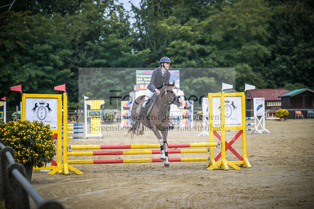 DOS_0592 | Entdecke hochwertige Reitturnierfotos von Foto Oger. Professionell, emotional und authentisch – jetzt Lieblingsmomente im Shop bestellen.Deutschlandweite Turnierfotografie. - Realisiert mit Pictrs.com