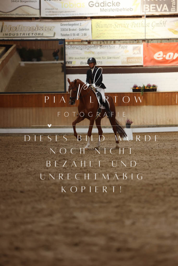 IMGM4118 | pl-fotografie