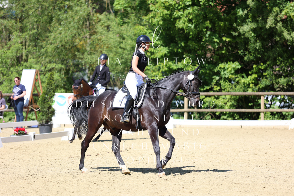 IMGS3704 | pl-fotografie