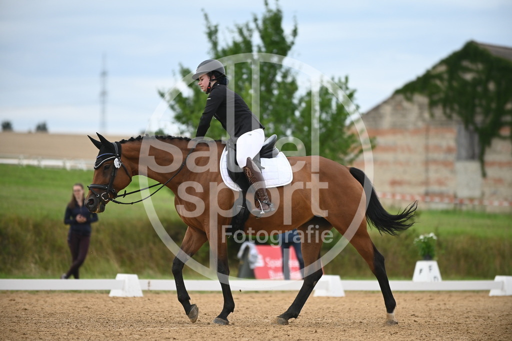 DSC_4686 | sattelsport - Realisiert mit Pictrs.com