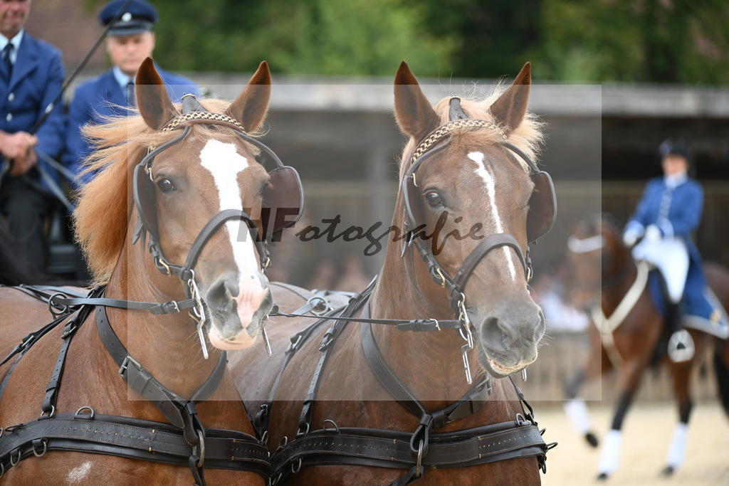 Verschiedene Anspannungen_36240012 | hf-fotografie - Realisiert mit Pictrs.com