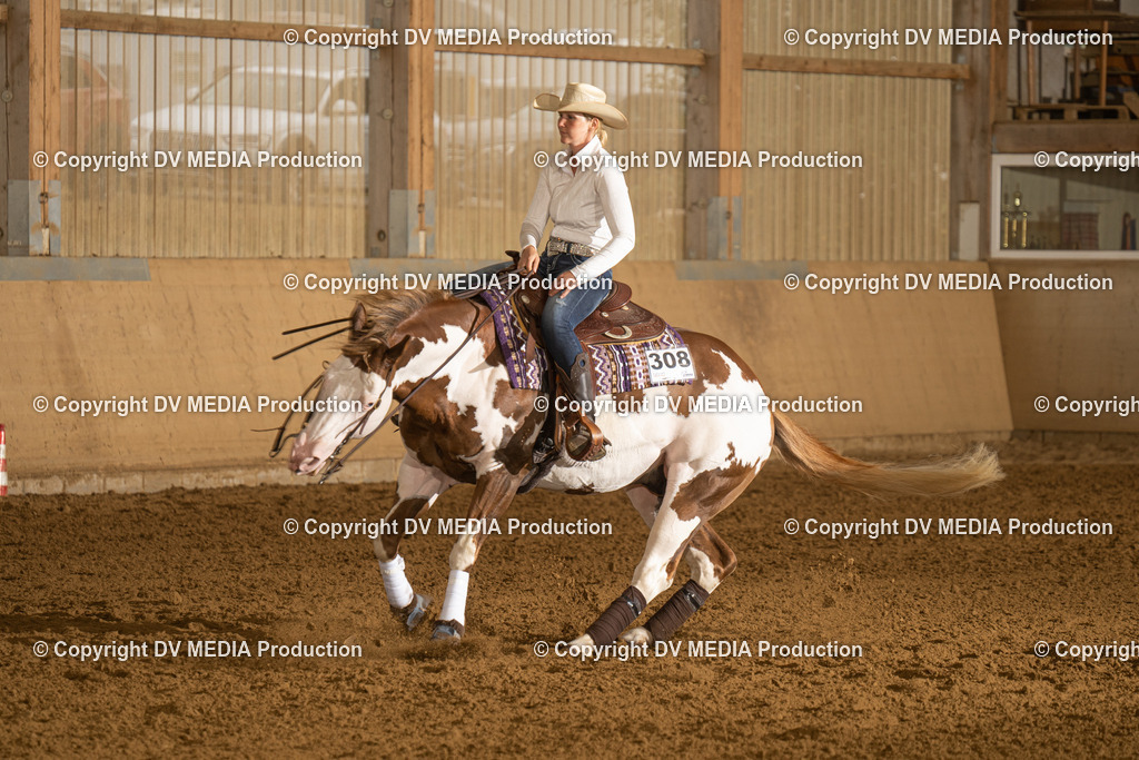 LAU00466 | dv-media-shop - Realisiert mit Pictrs.com