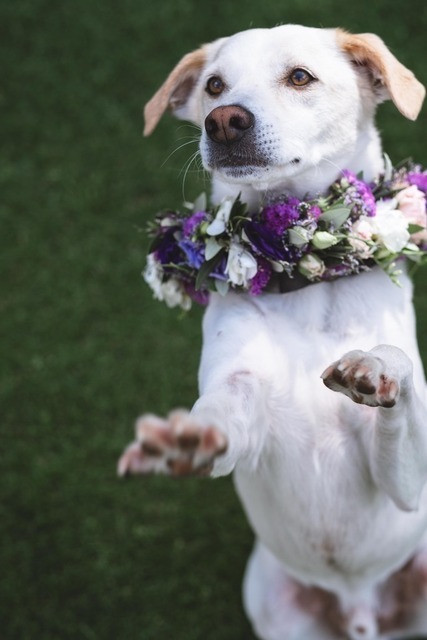 Hochzeitsfotografie enafunk.de | Hochzeitsbilder voller Gefühl | Fotografie Dormagen &amp; NRW | enafunk - Realisiert mit Pictrs.com