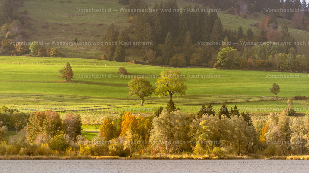 Herbstwiesen im Allgäu | Im Oktober am Grüntensee im Alpenvorland - Realisiert mit Pictrs.com