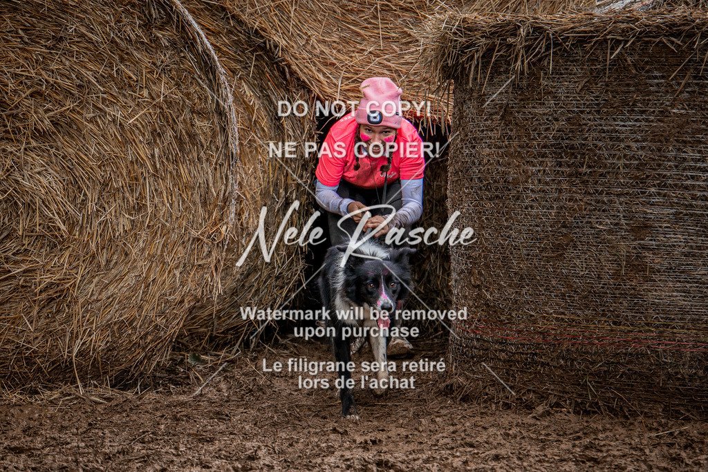 nelerasche_Hunsrück_So11-12_252 | nelerasche