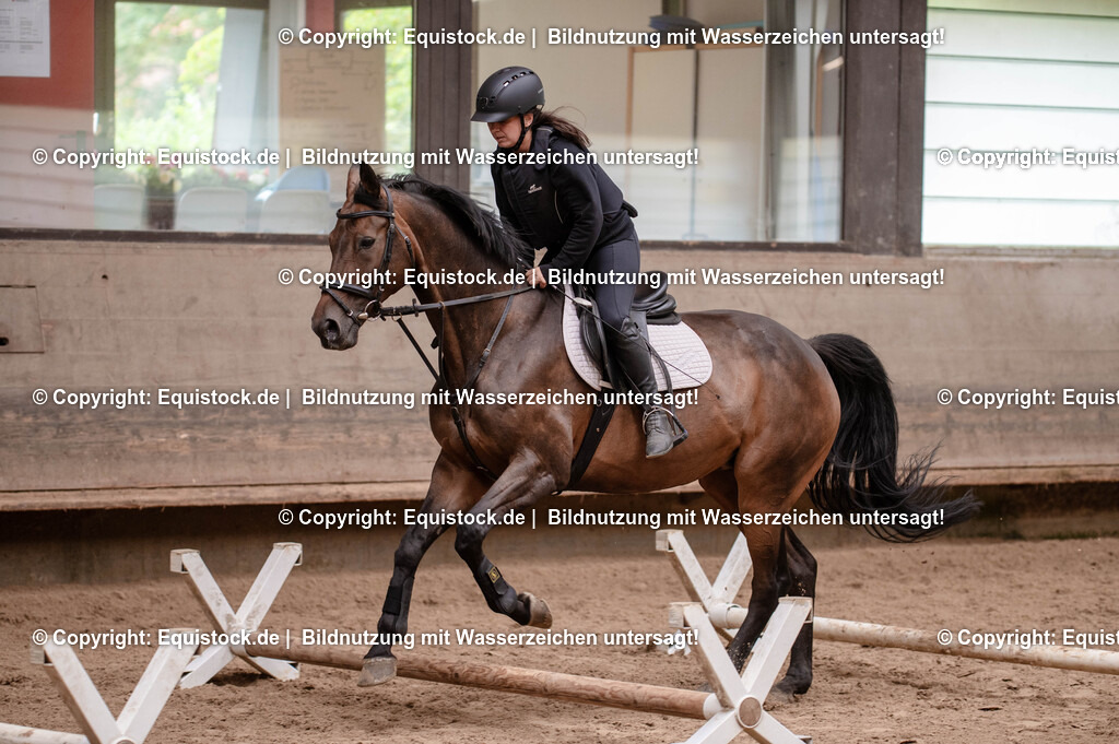 20250725_Vielseitigkeitslehrgang-Marbach_0022 | Foto: Thomas Hartig