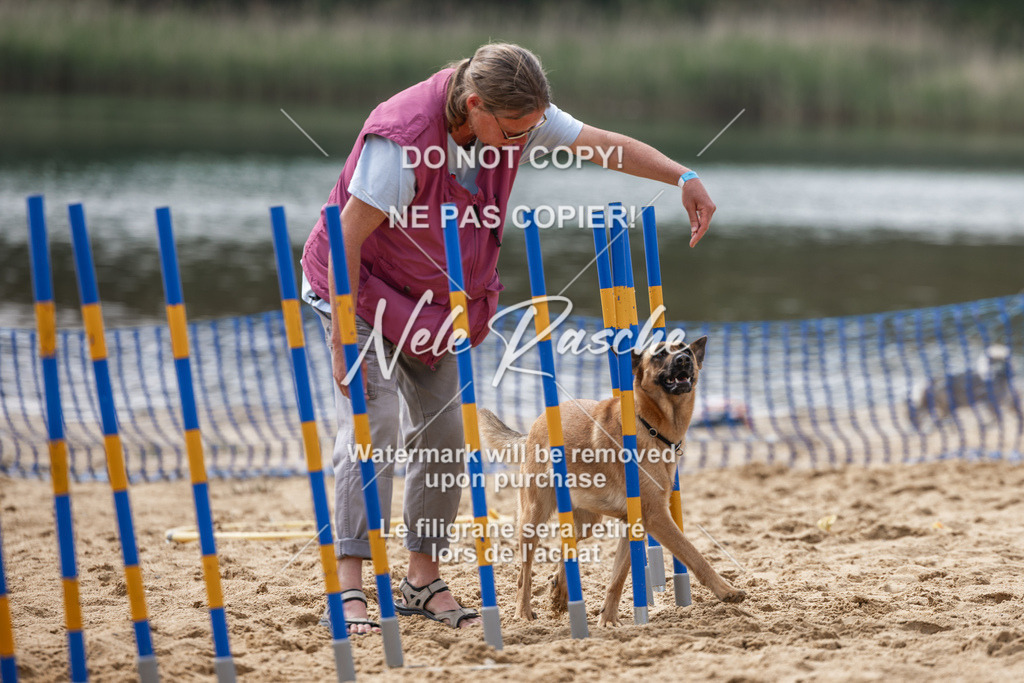 nelerasche_BuHu2026_So1530-Ende_82 | nelerasche