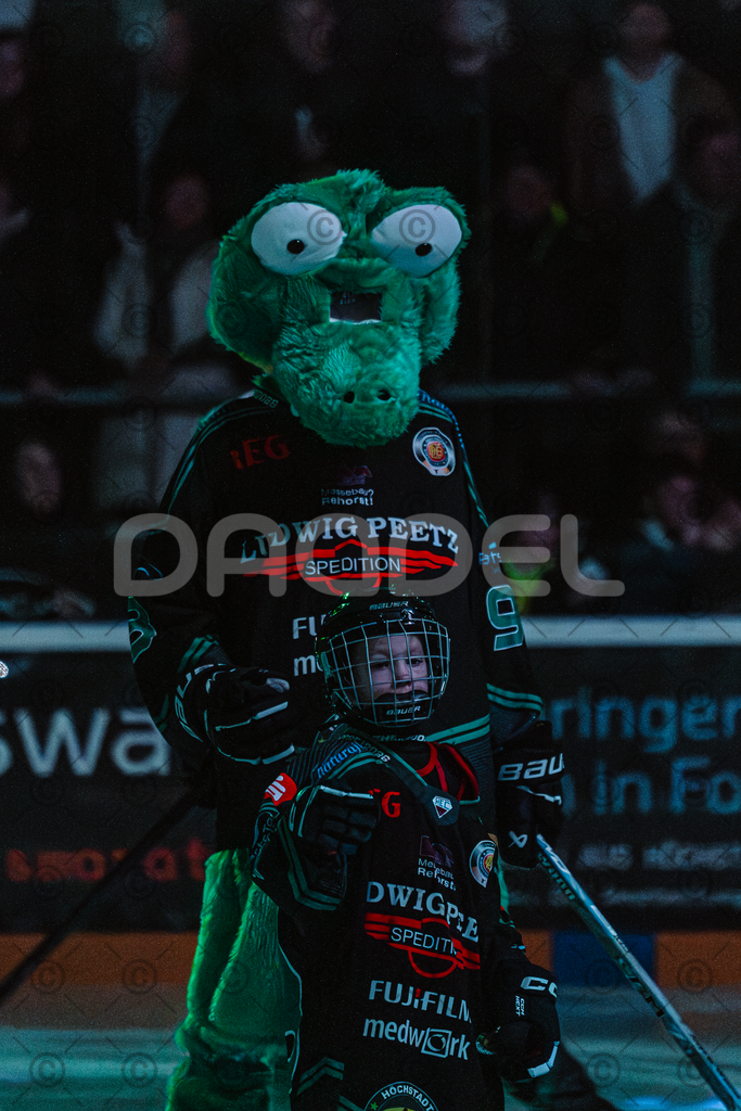 Alligators_vs_Fuessen_06_03_2026_PP-1 | Höchstadt Alligators Fotogalerie: Eishockey-Action aus Franken. Professionelle Spielfotos, Portraits & Stadionbilder zum Download. Jetzt entdecken! - Realisiert mit Pictrs.com