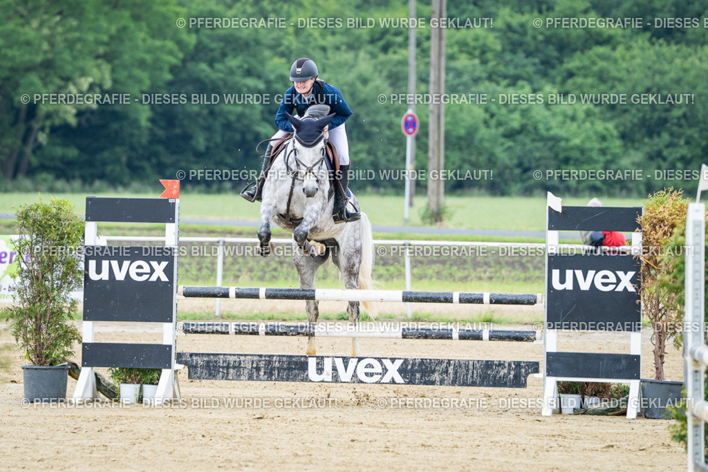 DSC03387 | Pferdegrafie