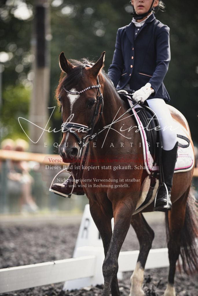DSC_3687 | Pferde- und Turnierfotografie in Westsachsen. Pferdeportraits, Auftragszeichnungen und intuitive Kunst.