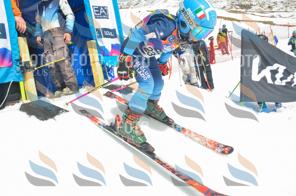 _ELE7389 | holidayphoto