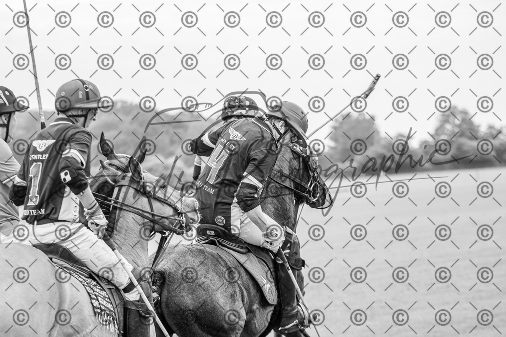 POL_2958-2 | andre_photographic