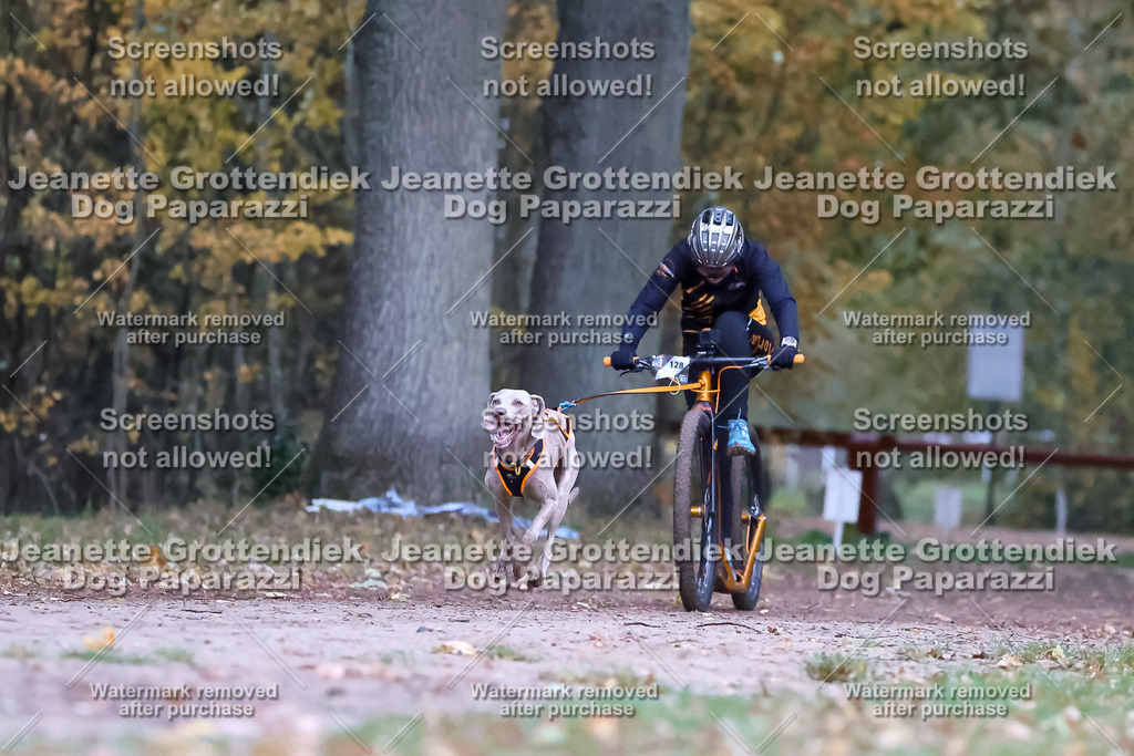 Dog Paparazzi - SD CaniX Championship 2025-25 | Dog Paparazzi Jeanette Grottendiek Fotografie & Videografie - Realisiert mit Pictrs.com