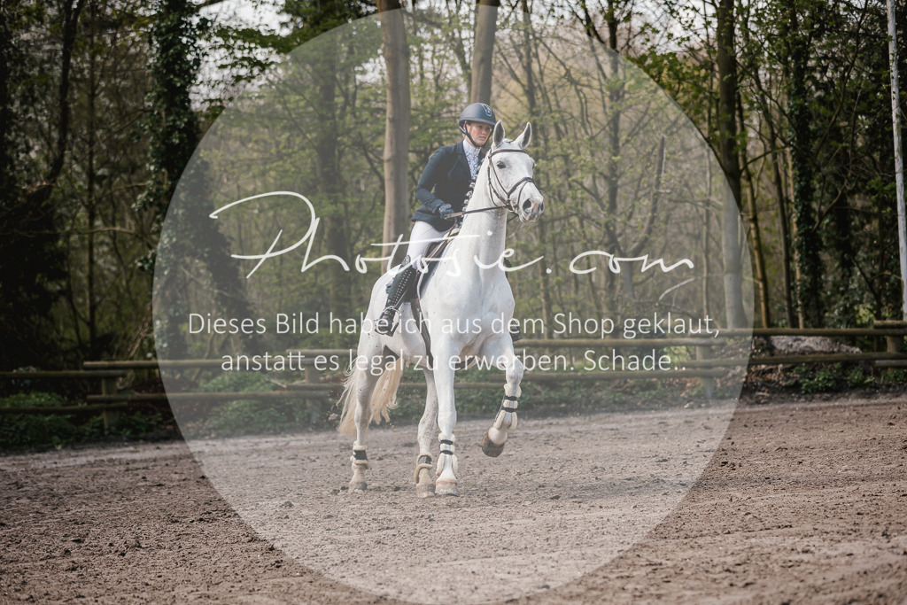 3I6A4093 | Stimmungsvolle Portraits und Reitsportfotografie im Ruhrgebiet und im Münsterland.

Pferdefotografie, Hundefotografie, Tierfotografie, Reportagen, Portraits von Tier und Mensch, Turnierfotografie in Bochum, Recklinghausen, Marl, Haltern am See, Dülmen.. - Realisiert mit Pictrs.com