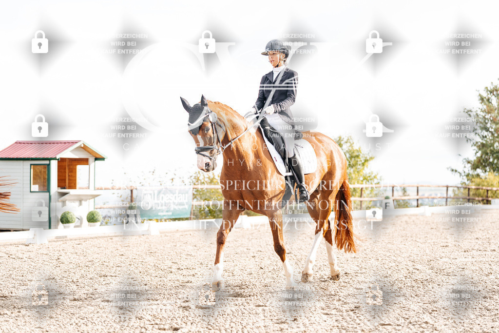 CK900633 | Turnierfotografie Pferdefotografie Trier Rheinland-Pfalz Pferdesport Reitsport Tierfotografie Sportfotografie Pferdevideo Pferdevideografie Equestrianvideography equestrianphotography  - Realisiert mit Pictrs.com