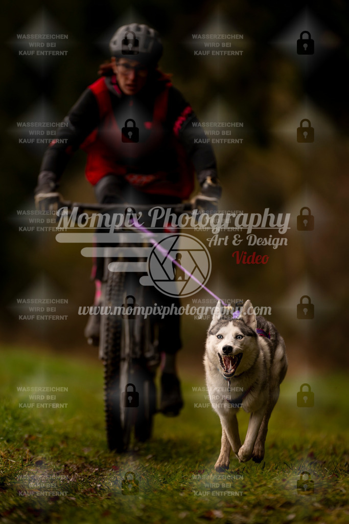 MompixPhotography_2SSTSSBW_2025_SO_Bike-77 | PayLife