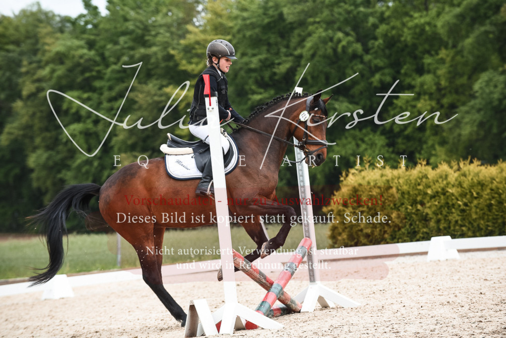 20230518_JK-Röhrsdorf-10-708 | Pferde- und Turnierfotografie in Westsachsen. Pferdeportraits, Auftragszeichnungen und intuitive Kunst.
