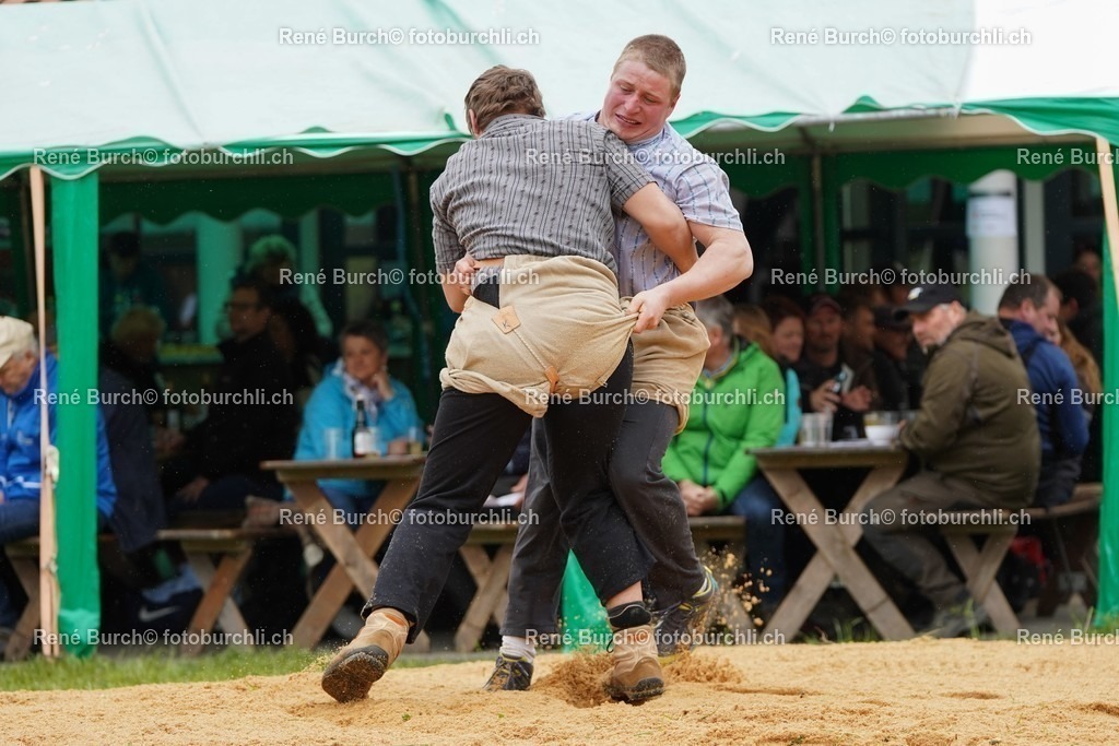 20220424-DSC09729 | René Burch leidenschaftlicher Fotograf aus Kerns in Obwalden.  Hier finden sie Sport, Landschaft und Natur Fotografie.
 - Realisiert mit Pictrs.com