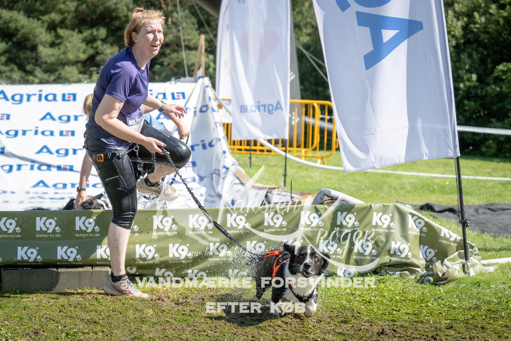 1132_ZZ92517 | kk-dogfotos