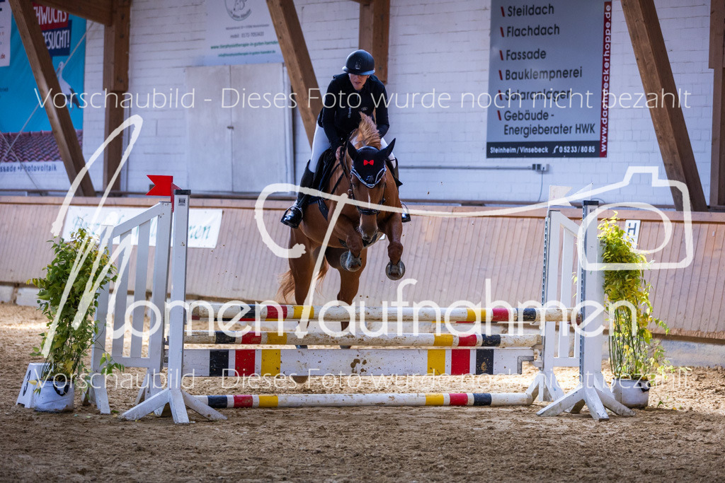 Sth-Gewöhnung-033 | MomenTaufnahmen Pferdesportfotos