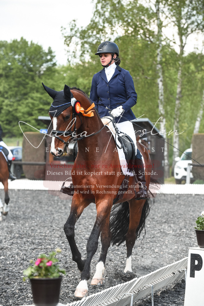 DSC_9108 | Pferde- und Turnierfotografie in Westsachsen. Pferdeportraits, Auftragszeichnungen und intuitive Kunst.