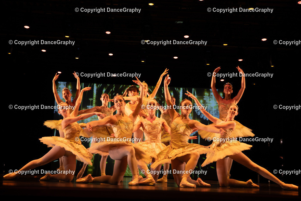 GPHY5311 | DanceGraphy - Realisiert mit Pictrs.com