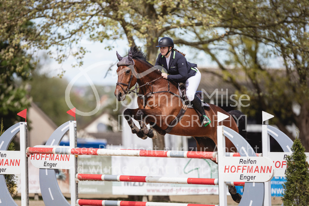 240428_Spenge_M2-Spr-155 | Deine schönsten Turniermomente als professionelle Fotos! Entdecke hochwertige Pferdesport-Fotografie im Online-Shop. Jetzt Fotos finden & bestellen!