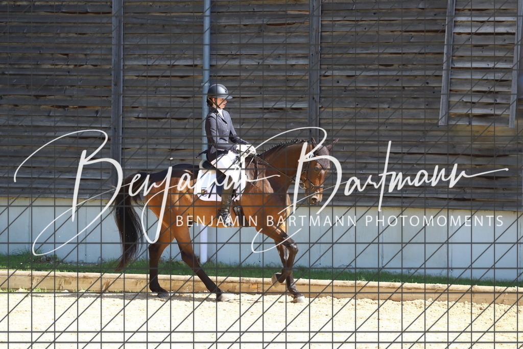 IMG_6070 | Benjamin Bartmann Photomoments