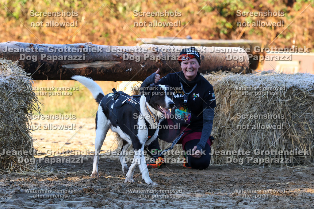 Dog Paparazzi - Strongdog 10-25-686 | Dog Paparazzi Jeanette Grottendiek Fotografie & Videografie - Realisiert mit Pictrs.com