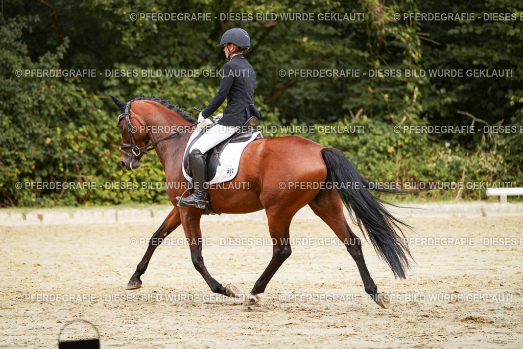 DSC09226 | Pferdegrafie