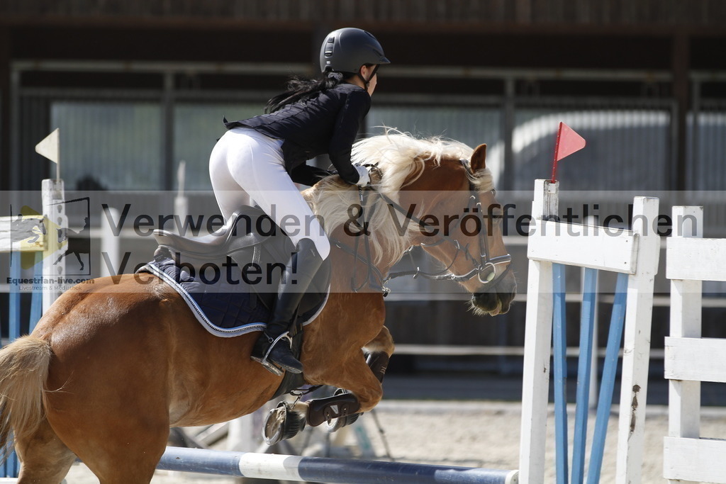 _MG_3502 | equestrian-live-com