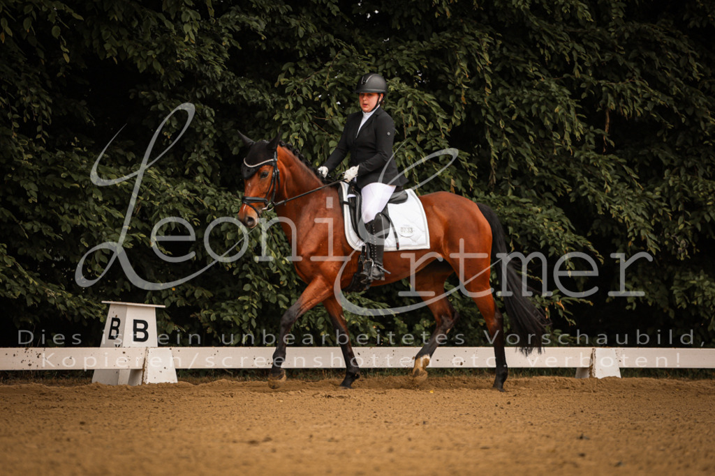 DoDrE00024 | Leoni Ertmer Photography - Realisiert mit Pictrs.com