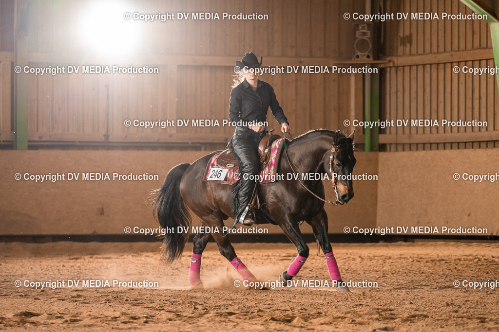 BA301191 | dv-media-shop - Realisiert mit Pictrs.com