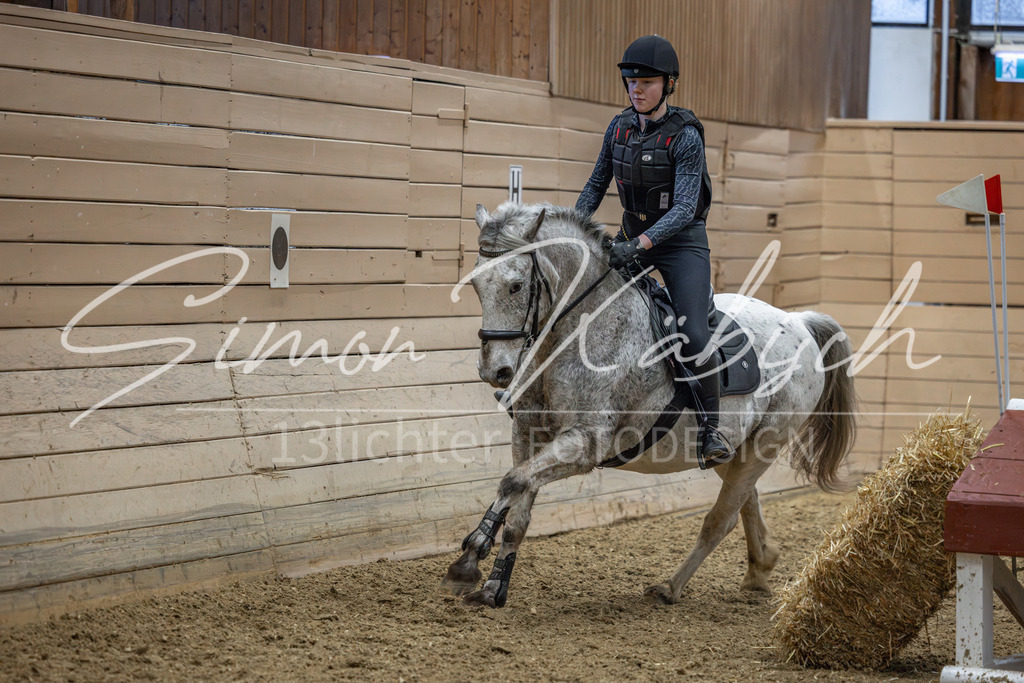 20260222-_3LI0877 | Tierfotografie Pferde, Hunde, Katzen, Haustiere.
Turnierfotografie Reitturniere, Reiten, Springreiten, Dressur in Hanau, dem Main-Kinzig-Kreis und dem Rhein-Main- Gebiet um Frankfurt