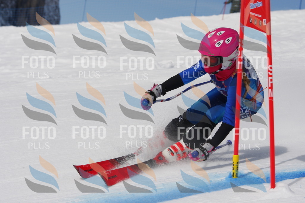 _W1G0376 | holidayphoto