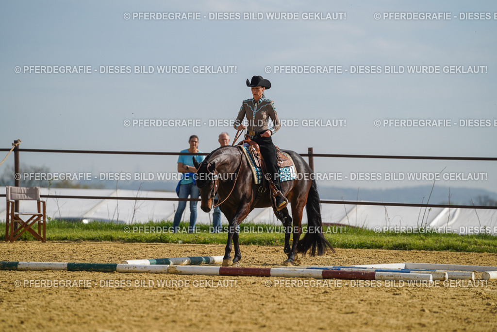 DSC01362 | Pferdegrafie