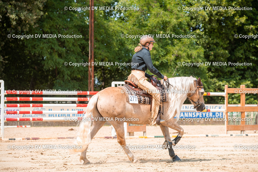 ZS2_8325 | dv-media-shop - Realisiert mit Pictrs.com