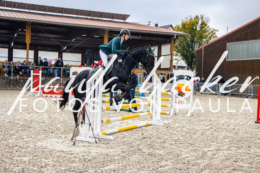 IMG_3547 | Erleben Sie dynamische Sport- und emotionale Tierfotografie in Süddeutschland mit Fotos von Paula. Spezialisiert auf Pferde- und Hundefotografie sowie Sportevents. Kontaktieren Sie mich für einzigartige und ausdrucksstarke Bilder Ihrer besonderen Momente. - Realisiert mit Pictrs.com