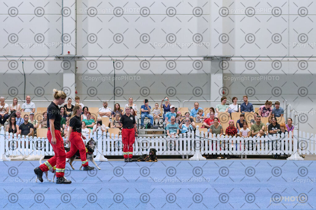 202406_ÖKV-IHA-Tulln24_DSC_3427 | proPHOTO - Realisiert mit Pictrs.com