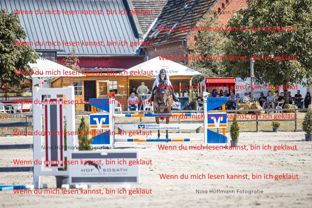 BK1A6802 | Turnierbilder Turnierfotos Nina Hüffmann Turnierfotografie Pferdefotografie Tierzeichnung Haustierzeichnung Pferdezeichnung Hundezeichnung Videograf  - Realisiert mit Pictrs.com