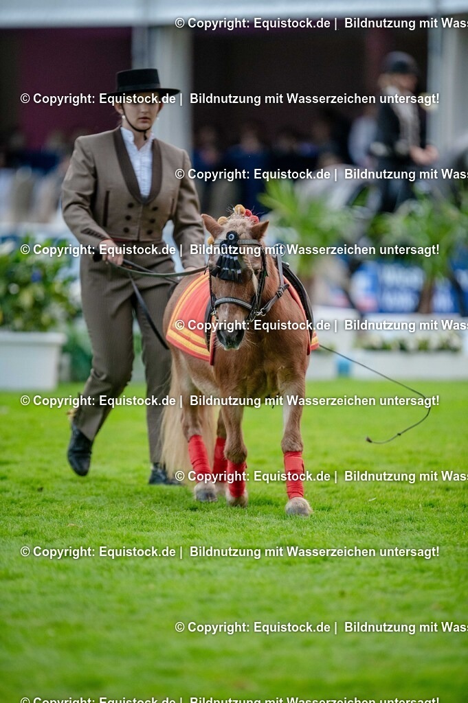 20250606_Lange-Pferdenacht_0639 | Foto: Thomas Hartig