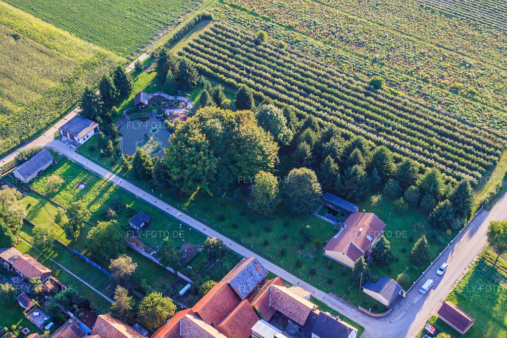 Luftbild: Dickemann Weber GmbH in Erlenbach bei Kandel im Bundesland Rheinland-Pfalz in Deutschland. Foto: IMG_32688.jpg vom 01.09.2010 durch Werner Riehm/FLY-FOTO.de