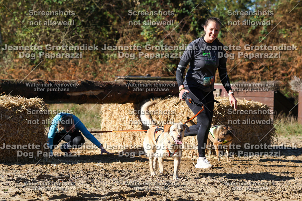 Dog Paparazzi - Strongdog 10-25-1994 | Dog Paparazzi Jeanette Grottendiek Fotografie & Videografie - Realisiert mit Pictrs.com