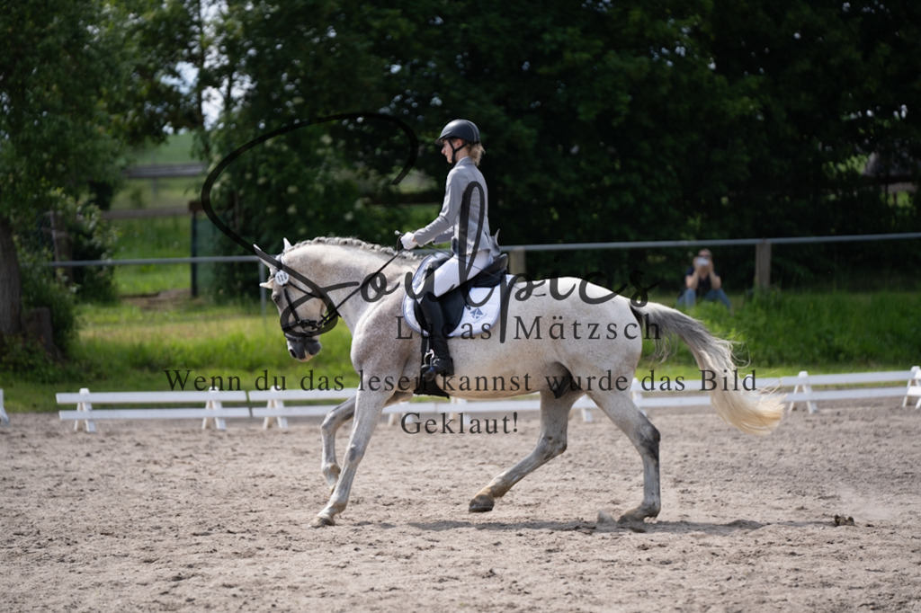 A7V02713 | Pferdefotograf