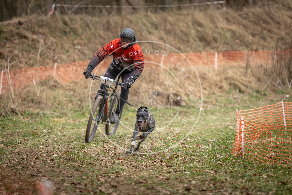 Pfotenfotografie_DV3A6740 | Hundefotografie, Tierfotograf, Pfotenfotografie, Fotoshooting Hund, Hunde Portrait, Hundesport, Hundeportraits, Heideshooting, Hunde, Sportfotograf, Hundefotograf, Turnierhundsport, THS,  - Realisiert mit Pictrs.com