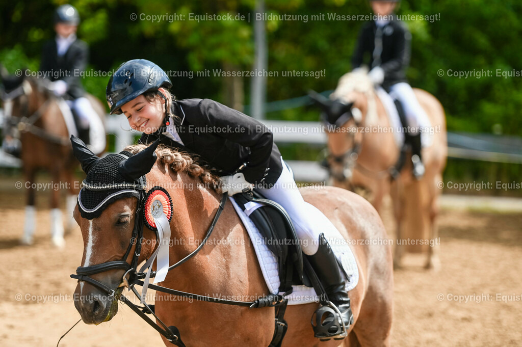 20230716_10-3_Reiter-WB Schritt - Trab - Galopp_0216 | equistock