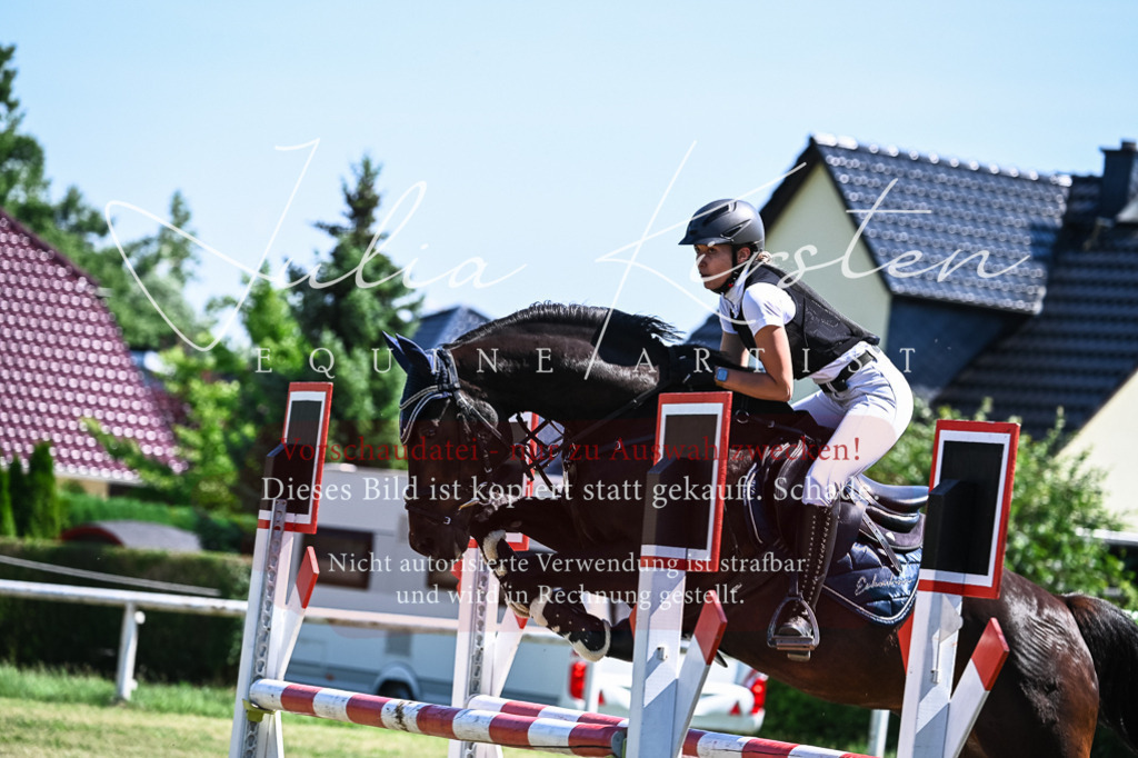 DSC_1124 | Pferde- und Turnierfotografie in Westsachsen. Pferdeportraits, Auftragszeichnungen und intuitive Kunst.