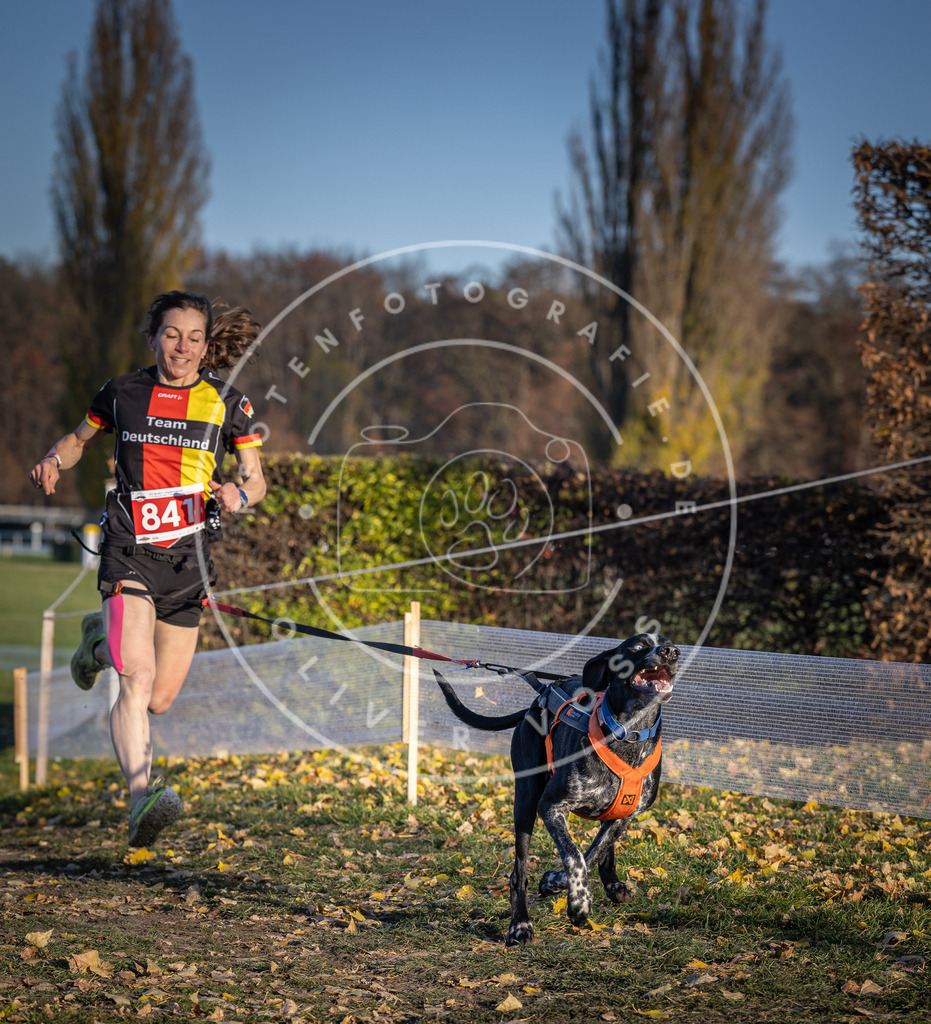 CaniXpix_DV3A3672 | Hundefotografie, Tierfotograf, Pfotenfotografie, Fotoshooting Hund, Hunde Portrait, Hundesport, Hundeportraits, Heideshooting, Hunde, Sportfotograf, Hundefotograf, Turnierhundsport, THS,  - Realisiert mit Pictrs.com